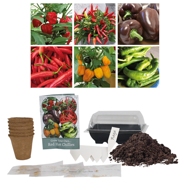 Chilli Kit Contents